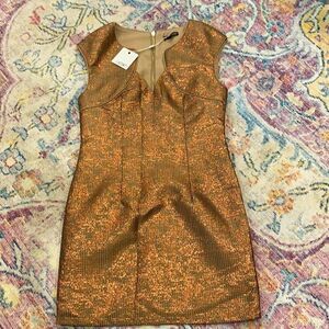 Ladakh rose gold mini dress